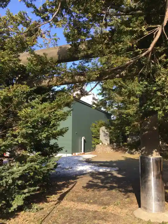信濃神社の鳥居