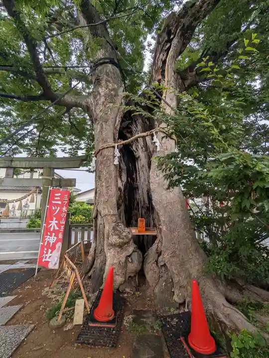 三ツ木神社(埼玉県)