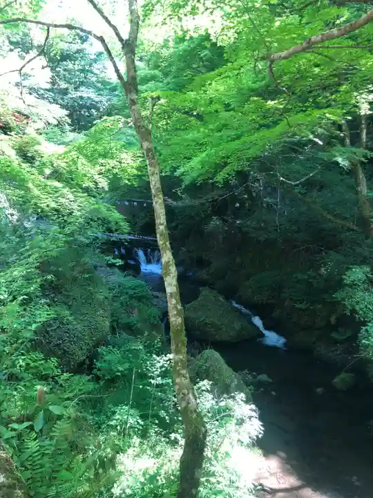 貴船神社(京都府)
