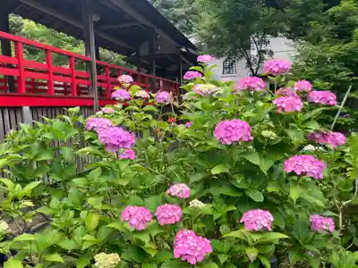 本土寺(千葉県)