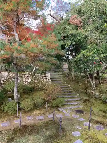 仁和寺の庭園