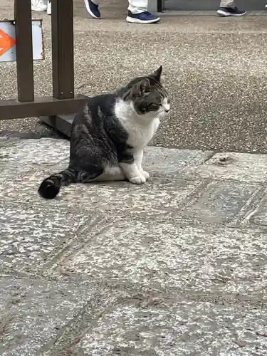円覚寺(神奈川県)