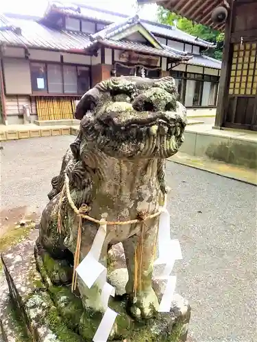 妻山神社の狛犬