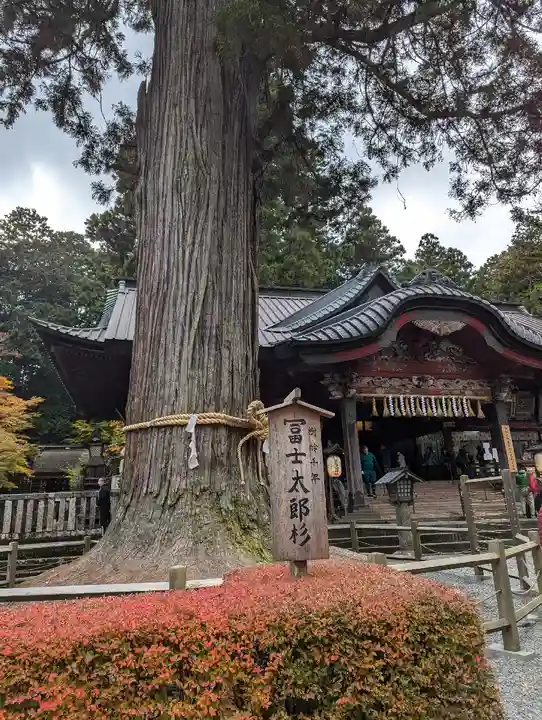 北口本宮冨士浅間神社(山梨県)