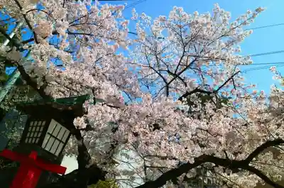 青葉神社のその他建物