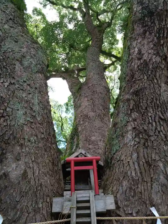 加藤神社(熊本県)