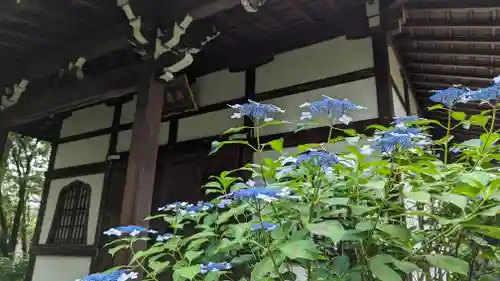 真正極楽寺（真如堂）(京都府)