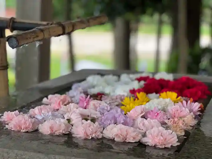 糀谷八幡宮の手水舎