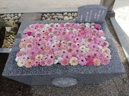 荘内神社の手水舎