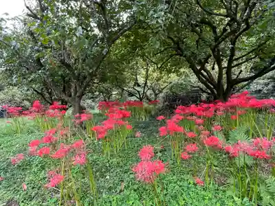 宝城坊(神奈川県)