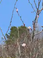 国宝 大法寺(長野県)