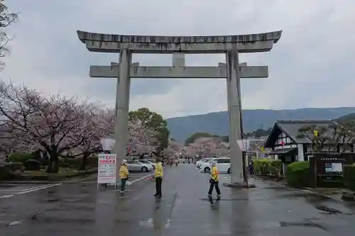 橘神社の鳥居