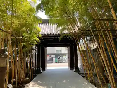 梅窓院(東京都)
