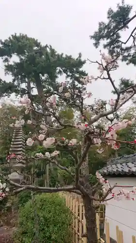 神蔵寺の自然