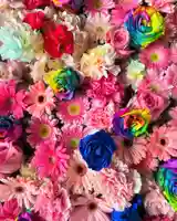 札幌諏訪神社の手水舎