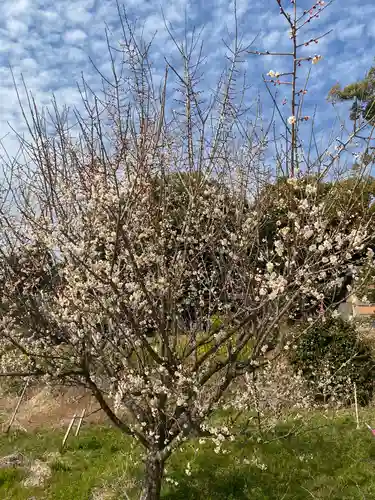 宮原神社の自然