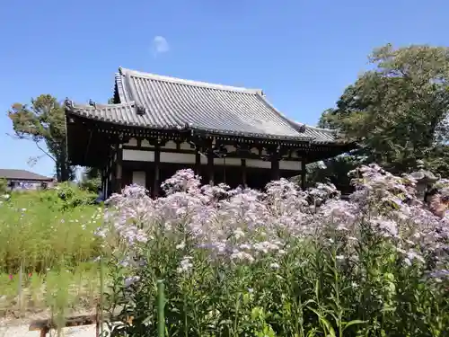 般若寺 ❁﻿コスモス寺❁の本殿