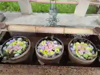 津島神社の手水舎