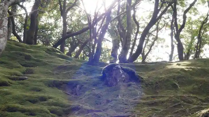 慈照寺(慈照禅寺・銀閣寺)(京都府)