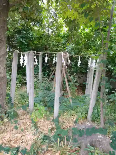 鷲宮神社(埼玉県)