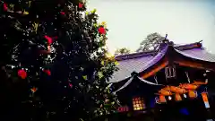 八重垣神社(島根県)