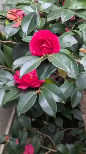 誓願寺(京都府)