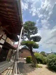 西福寺(福井県)