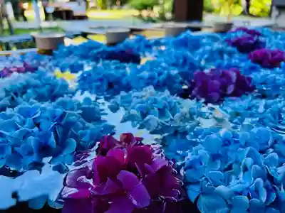 土津神社｜こどもと出世の神さま(福島県)