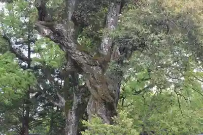 井伊谷宮(静岡県)