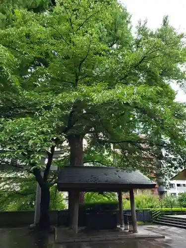熊野神社の手水舎