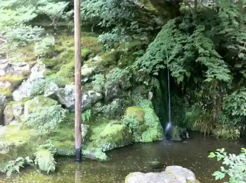 慈照寺（慈照禅寺・銀閣寺）の庭園