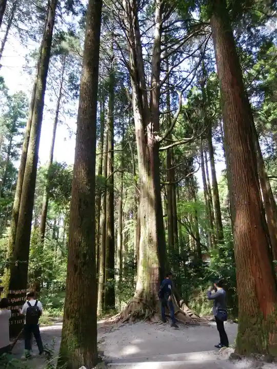 霧島神宮(鹿児島県)