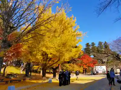 円通三匝堂(さざえ堂)(福島県)