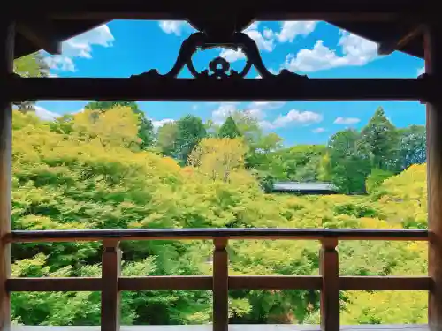 東福禅寺（東福寺）の{uncategorized: "未分類", other: "その他", undefined: "問題あり", building: "その他建物", grave: "お墓", sacred_gate: "鳥居", guardian: "狛犬", statue: "像", buddha: "仏像", history: "歴史", nature: "自然", garden: "庭園", animal: "動物", pagoda: "塔", temizu: "手水舎", mountain_gate: "山門・神門", sanctuary: "本殿・本堂", subordinate: "末社・摂社", art: "芸術", scenery: "景色", jizo: "地蔵", ema: "絵馬", goshuin: "御朱印", omikuji: "おみくじ", items: "授与品その他", amulet: "お守り", goshuincho: "御朱印帳", eats: "食事", festival: "お祭り", votive_dance: "神楽", shichigosan: "七五三参", wedding: "結婚式", experience: "体験その他", initially: "初詣", around: "周辺", anti_infection: "感染症対策"}