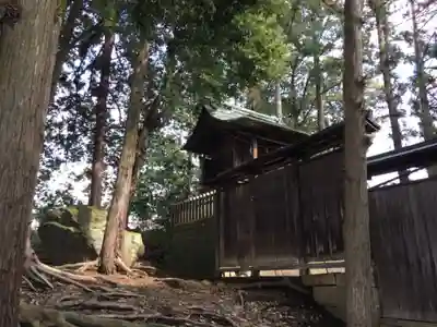 越智神社の本殿・本堂