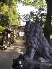 厳嶋神社の狛犬