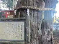七崎神社(青森県)