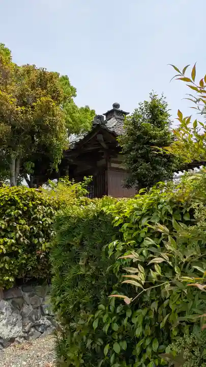 超願寺(京都府)