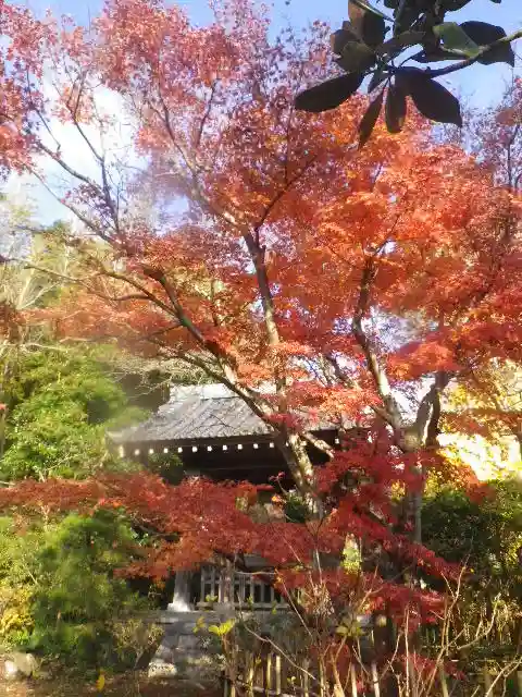 浄光明寺の自然