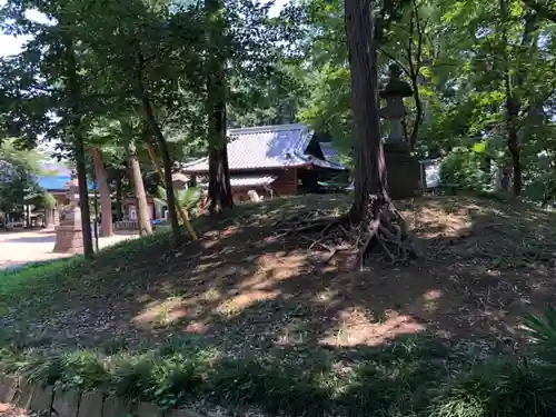 仙波氷川神社の周辺