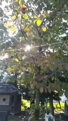 天神社のその他建物