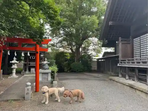 日吉神社(神奈川県)