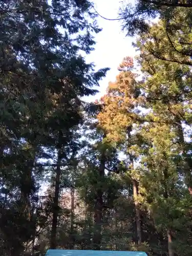 将軍澤日吉神社(埼玉県)