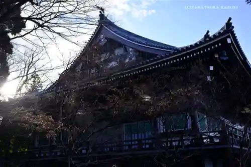  智積院(京都府)