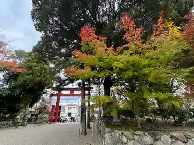 龍田大社(奈良県)