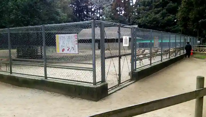 鹿島神宮のその他建物