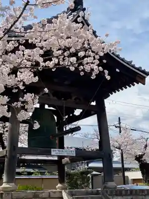 妙顯寺（妙顕寺）のその他建物