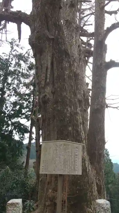 高山不動尊常楽院(埼玉県)