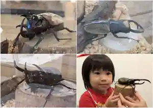 金蛇水神社(宮城県)(2023年08月10日(木) 10時48分48秒投稿)