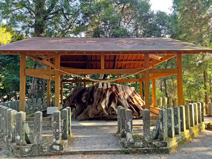 国造神社の自然